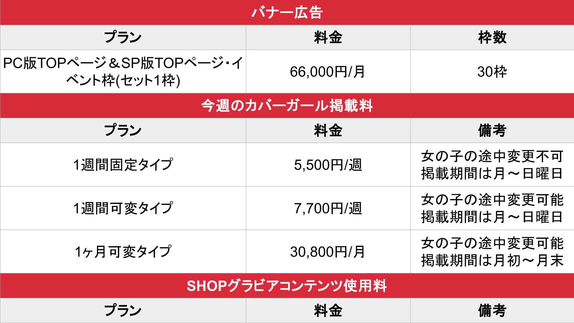 ナイトスクープ_オプション料金表