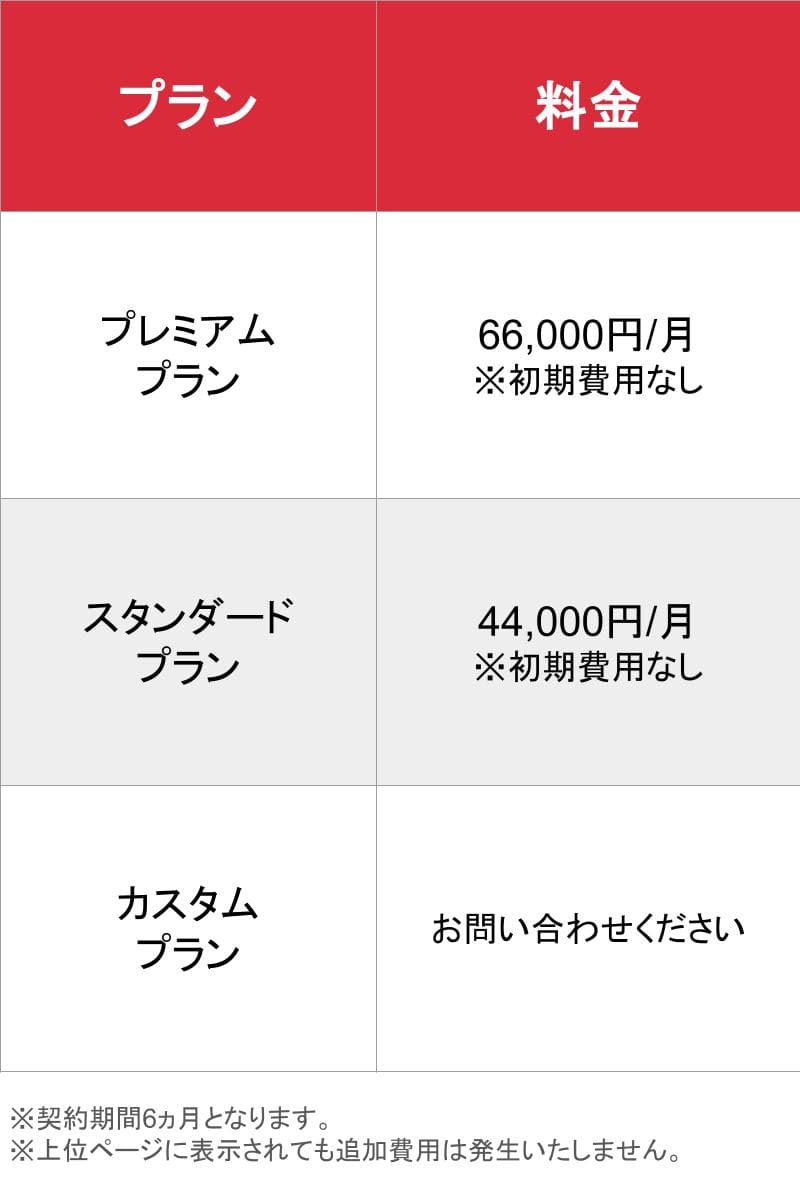 レヴィンチMEO対策_基本_料金表
