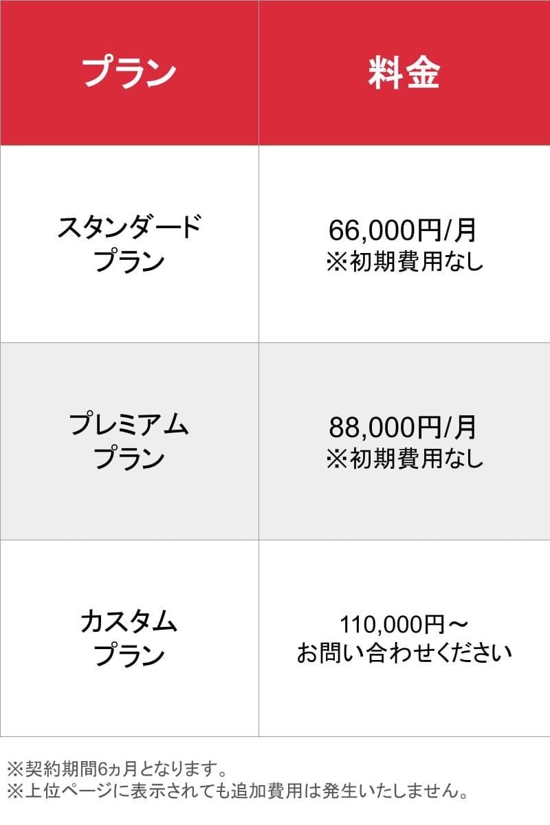 レヴィンチMEO対策_基本_料金表