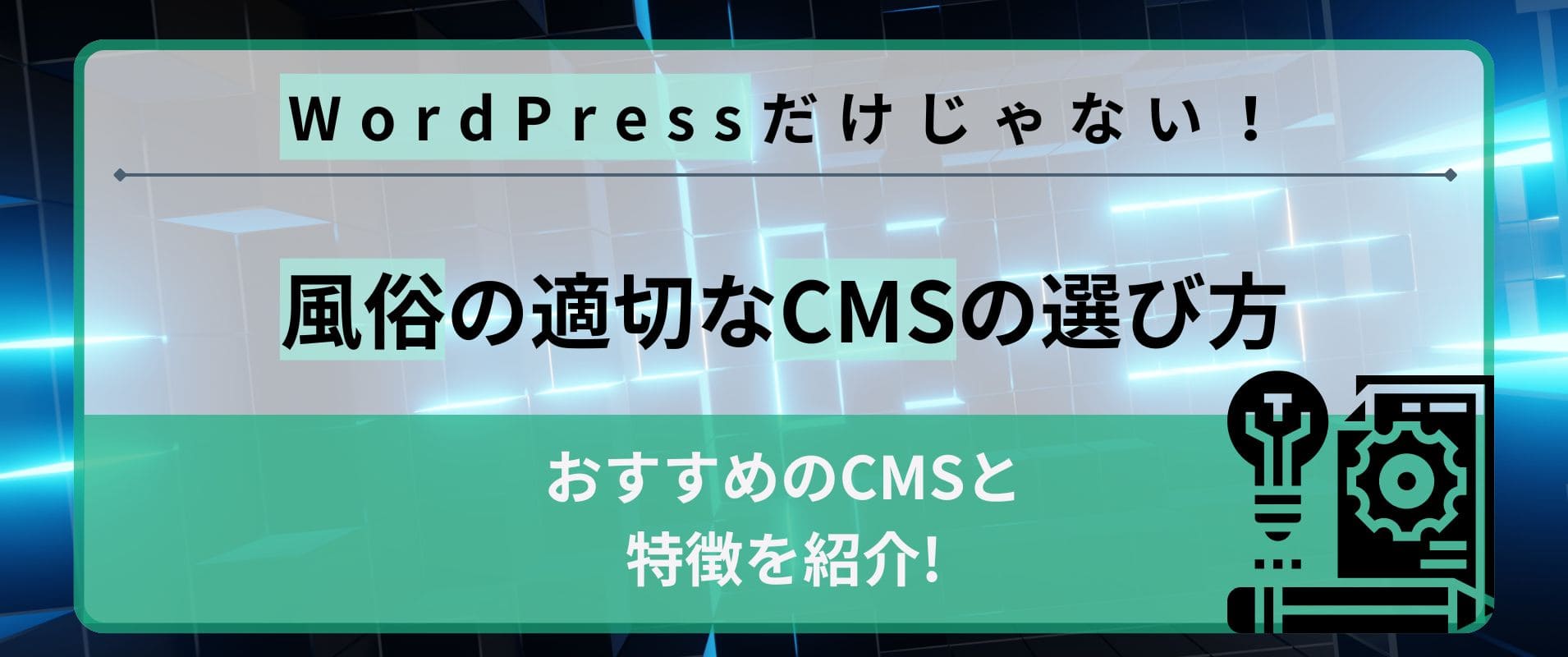 風俗のCMSはWordPressだけじゃない！選び方とおすすめのCMS